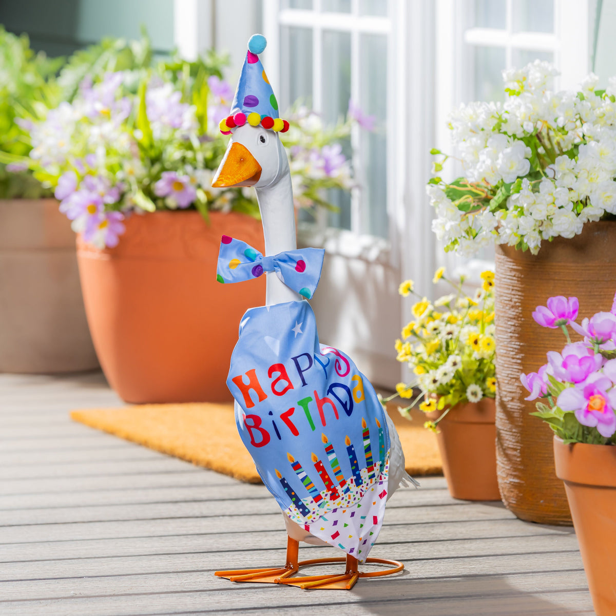 Giddy the Goose Outfit. Birthday Boy