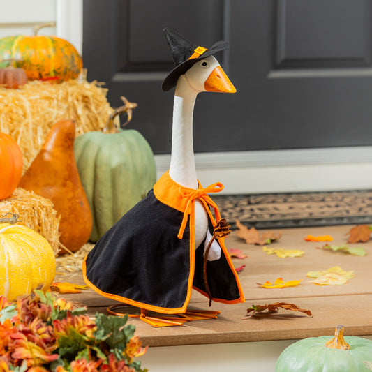 Giddy the Goose Outfit, Witch