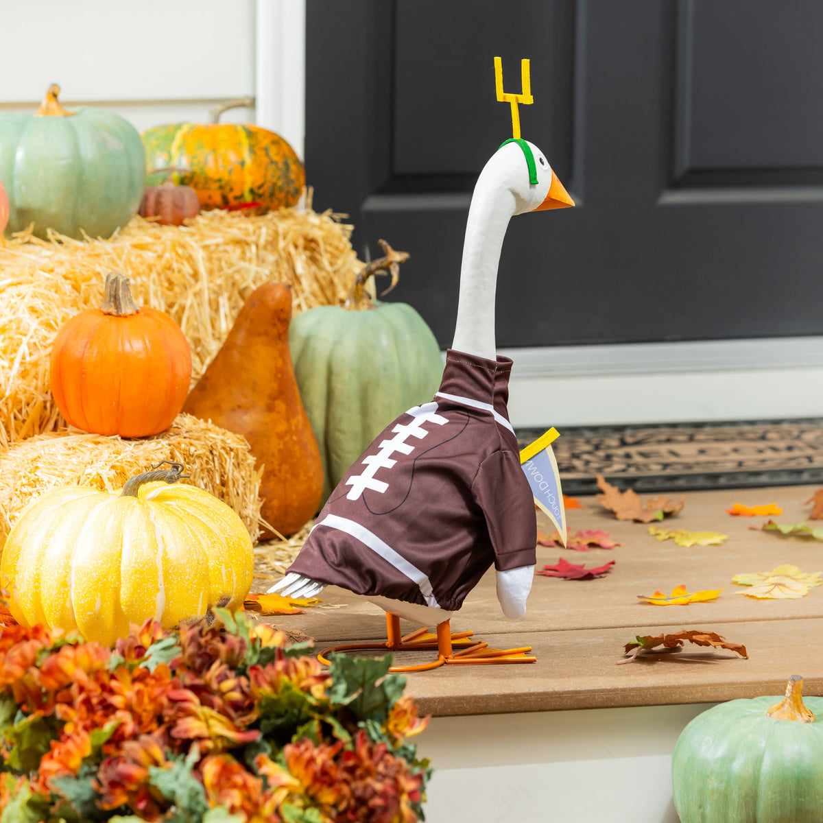 Giddy the Goose Outfit, Football Post