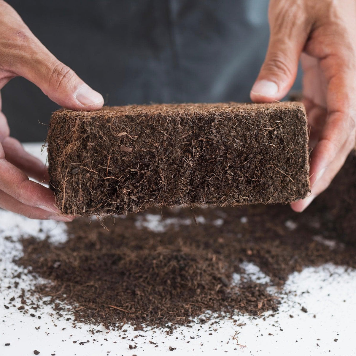 Myco Coco' Compressed Coco Coir Substrate & Casing Layer