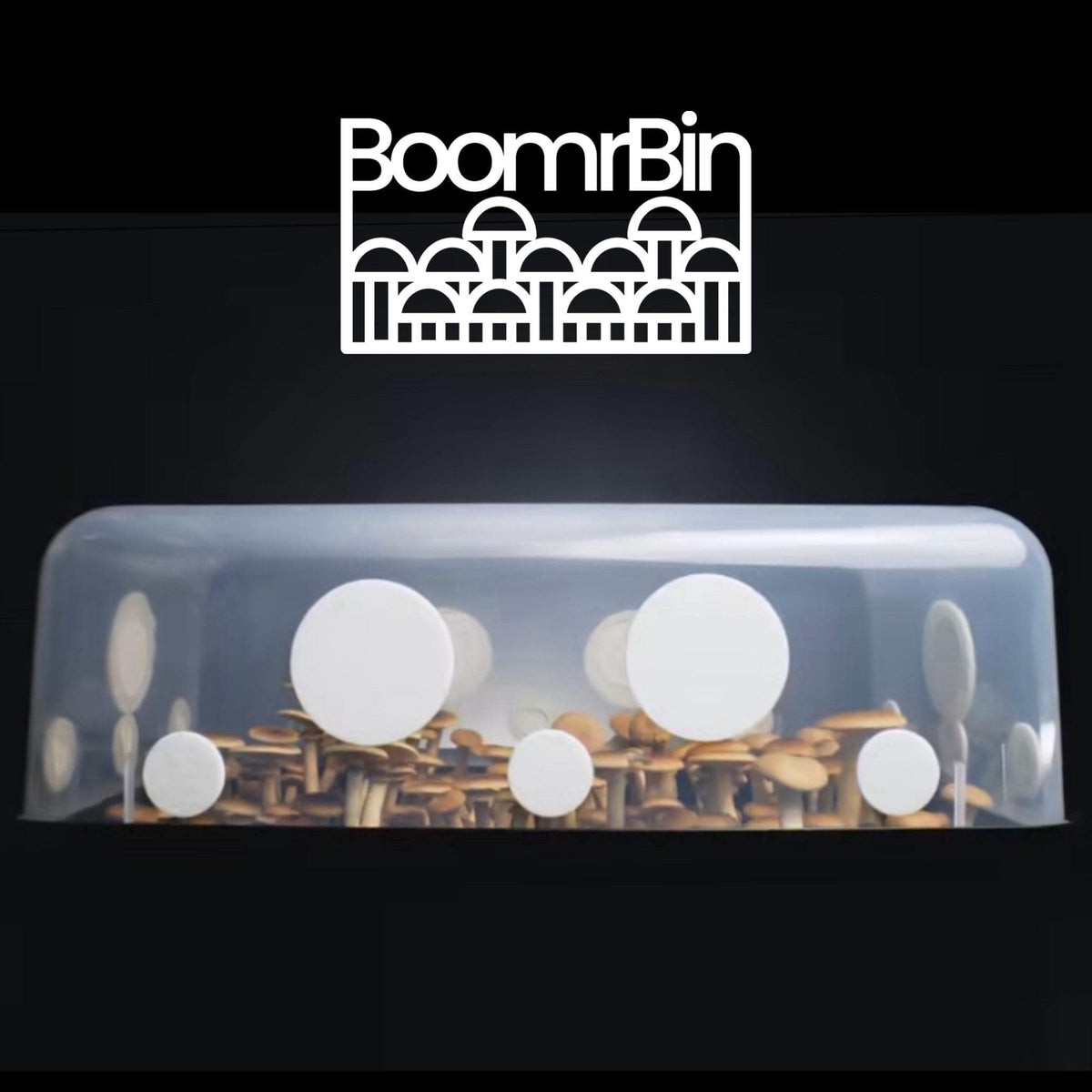 Boomr Bin' Dung-Loving Monotub Mushroom Grow Kit