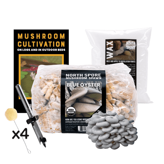 Plug Spawn Mushroom Log Beginner Kit