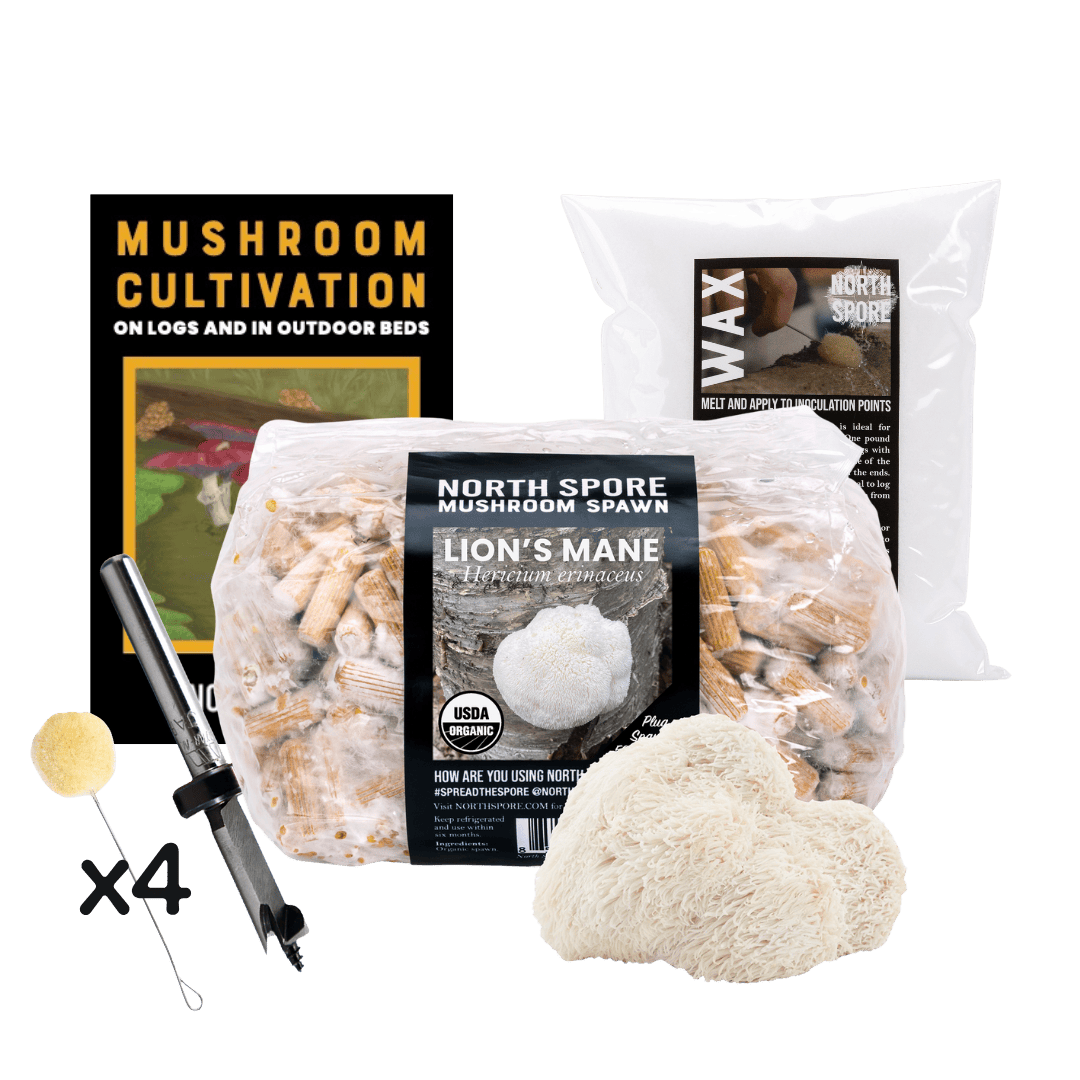 Plug Spawn Mushroom Log Beginner Kit