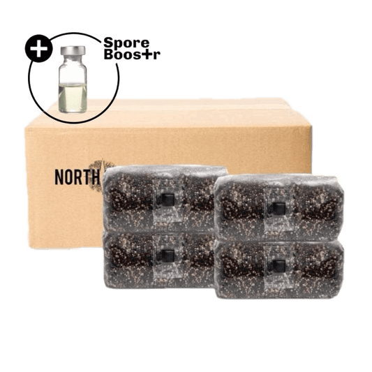 4-pack 'ShroomTek' + Spore Boostr All-in-One Mushroom Grow Bag