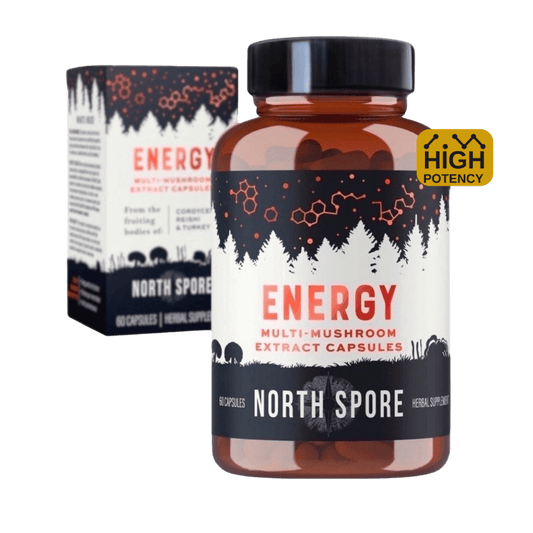 Organic ‘Energy’ Mushroom Capsules (High Potency)