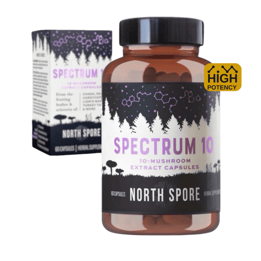 Organic ‘Spectrum 10’ Mushroom Capsules (High Potency)